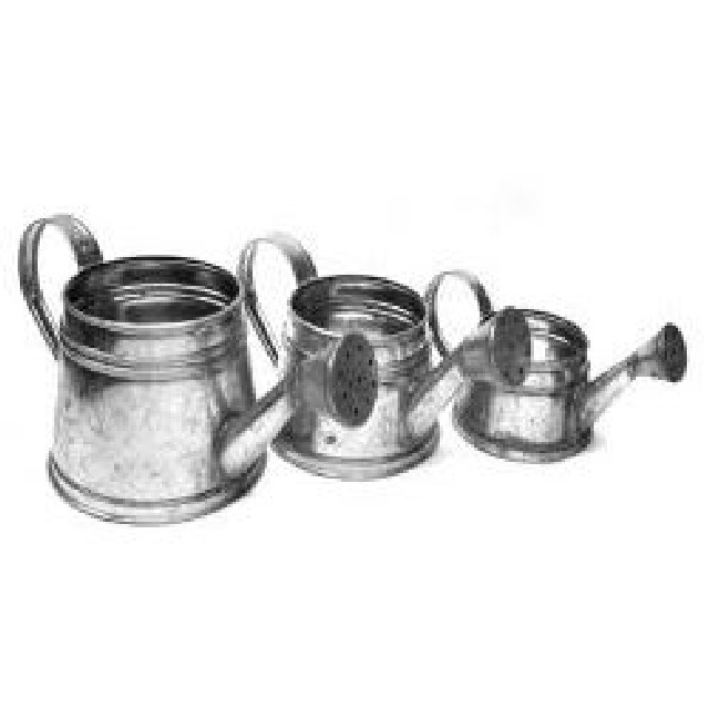 REGADERA CHATA MINI 0 75LTS