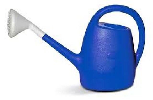 REGADERA PLASTICA 5 L